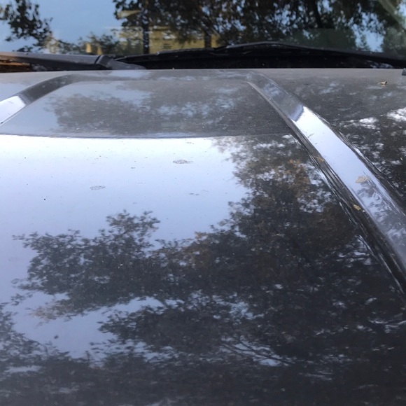 Meet your Posher, Antonio - Picture 1 of 1